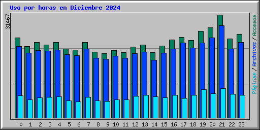 Uso por horas en Diciembre 2024