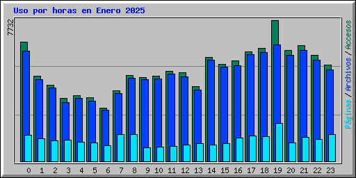 Uso por horas en Enero 2025