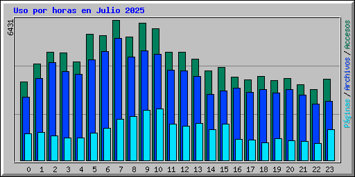 Uso por horas en Julio 2025