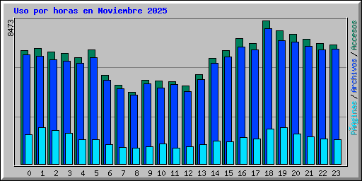 Uso por horas en Noviembre 2025