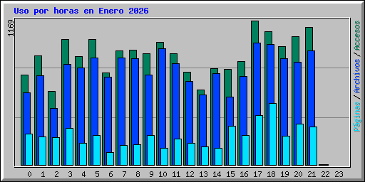 Uso por horas en Enero 2026