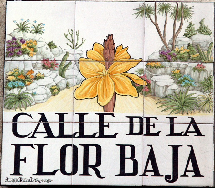 Calle de la Flor Baja (2)