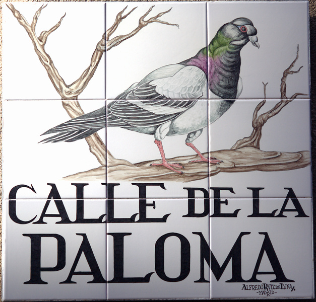 Calle de la Paloma