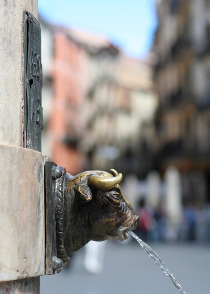 Toro en Teruel